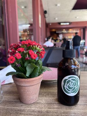   at Camelia Ododo in Sao Paulo