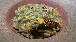   at Camelia Ododo in Sao Paulo