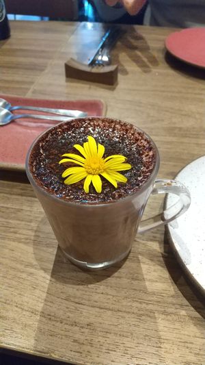  at Camelia Ododo in Sao Paulo