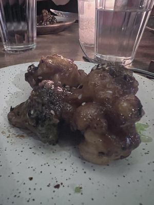   at Camelia Ododo in Sao Paulo