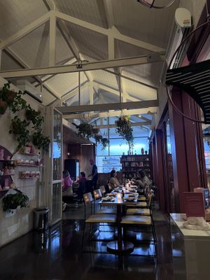   at Camelia Ododo in Sao Paulo