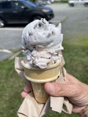 Peppermint chip   at Conscious Cravings VT in Quechee