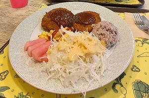 Vegan cutlets with rice, cabbage salad and pickles at Loving Hut Gangnam-gu - 러빙헛 in Seoul