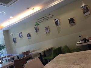 Wall. at Loving Hut Gangnam-gu - 러빙헛 in Seoul