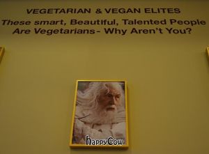 Yeah Ian McKellen... listen to Loving Hut and stop eating fish. at Loving Hut Gangnam-gu - 러빙헛 in Seoul