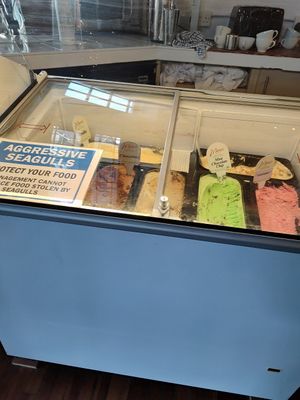 No vegan ice-cream at The Bulkeley Hotel in Beaumaris