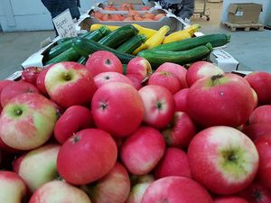 Some delicious fruit and vegetables  at Ventegodtgaard in Lille Skensved