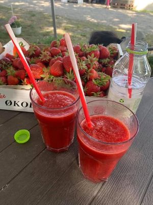 Smoothies  at Ventegodtgaard in Lille Skensved