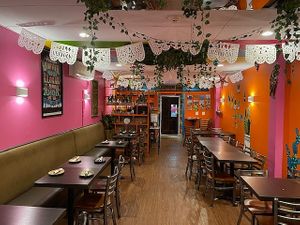 Facing back at Quinoa in Doylestown