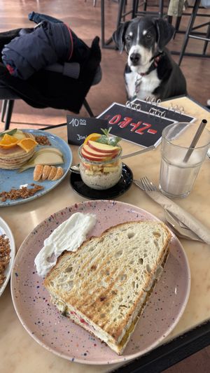   at INTRO in Karlsruhe