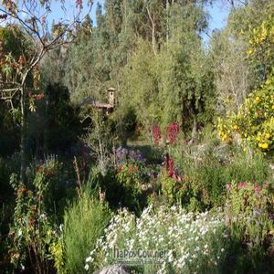 Resort gardens at Willka Tika Garden Resort in Urubamba