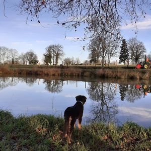 Nana at the pond at L'Autre Ferme in Cherves-chatelars