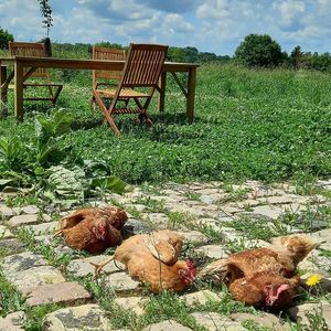 Have a sun bath with friends at L'Autre Ferme in Cherves-chatelars