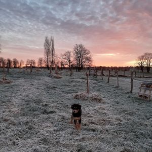 We welcome you during winter as well at L'Autre Ferme in Cherves-chatelars
