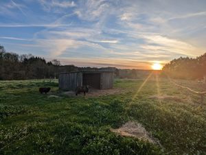  at L'Autre Ferme in Cherves-chatelars