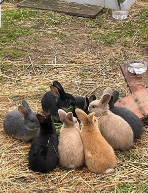  at L'Autre Ferme in Cherves-chatelars
