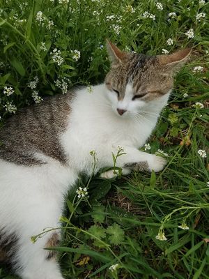  at L'Autre Ferme in Cherves-chatelars