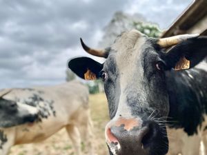 Asie at L'Autre Ferme in Cherves-chatelars
