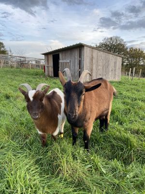   at L'Autre Ferme in Cherves-chatelars