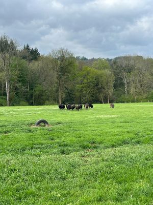  at L'Autre Ferme in Cherves-chatelars