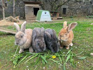  at L'Autre Ferme in Cherves-chatelars