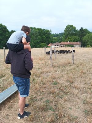 À la rencontre des moumoutes at L'Autre Ferme in Cherves-chatelars