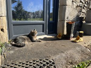 Titus qui prend un bain de soleil de bon matinn  at L'Autre Ferme in Cherves-chatelars
