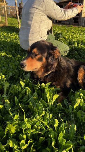   at L'Autre Ferme in Cherves-chatelars