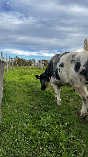   at L'Autre Ferme in Cherves-chatelars