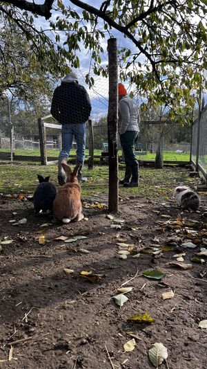  at L'Autre Ferme in Cherves-chatelars