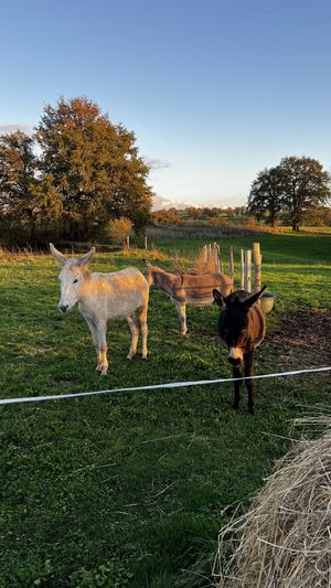   at L'Autre Ferme in Cherves-chatelars