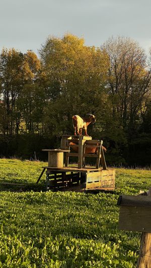   at L'Autre Ferme in Cherves-chatelars