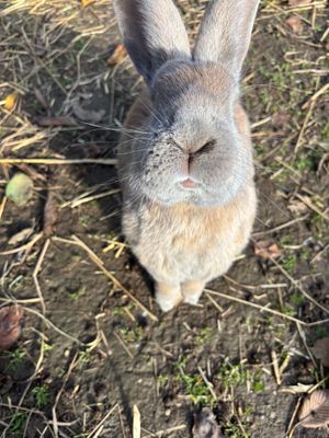 Jules would love to welcome you at the Sanctuary  at L'Autre Ferme in Cherves-chatelars