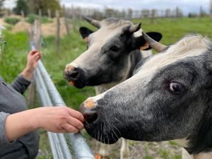  at L'Autre Ferme in Cherves-chatelars