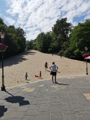 View of the large climbing dune next door at Joop in Schoorl