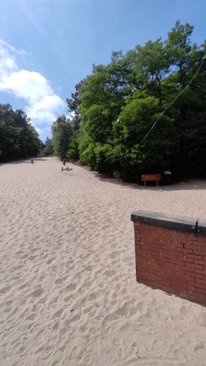 Uitzicht op de klimduin at Joop in Schoorl