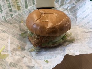 Strip burger  at Vegan Shack - Piccadilly Gardens in Manchester