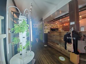 Hydroponics at The Juice Jar in Erie