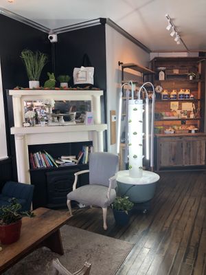 Interior 2  at The Juice Jar in Erie