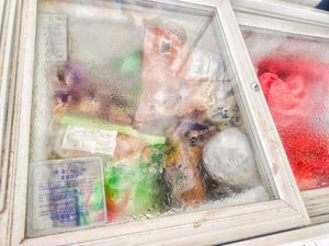 Frozen items at Nature Vegetarian Delights 大自然素食 - Bukit Purmei in Central Singapore