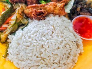 Very very tasty chicken rice at Nature Vegetarian Delights 大自然素食 - Bukit Purmei in Central Singapore