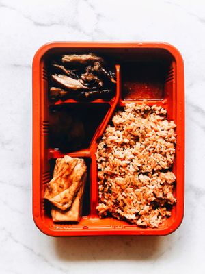 Braised duck rice at Nature Vegetarian Delights 大自然素食 - Bukit Purmei in Central Singapore