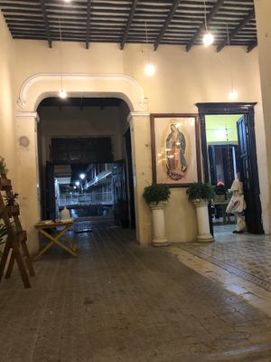 Chilled surroundings   at Crush in Merida