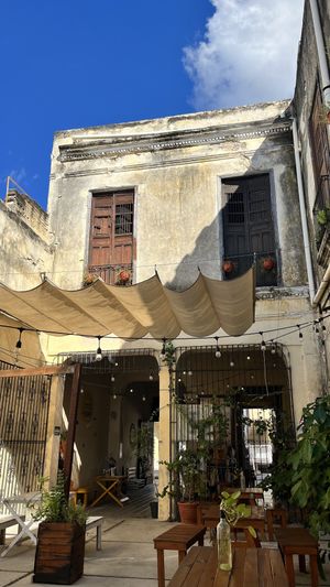 Courtyard   at Crush in Merida