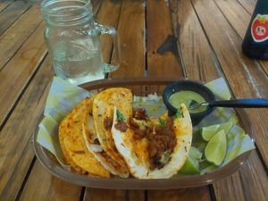 Seitan tacos. Munched before photo! at Crush in Merida