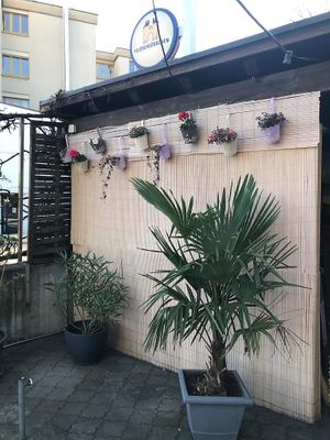 Garten at Restaurant zur Au in Adliswil