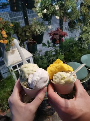  at Gelateria Amareina in Rimini