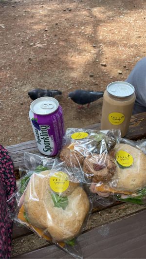   at Vegan Veganing in Seoul