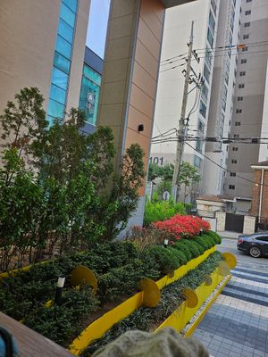 Easy to find on account of all the yellow at Vegan Veganing in Seoul