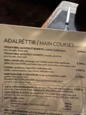 Vegan burrito  at Sæta Svínið Gastropub in Reykjavik